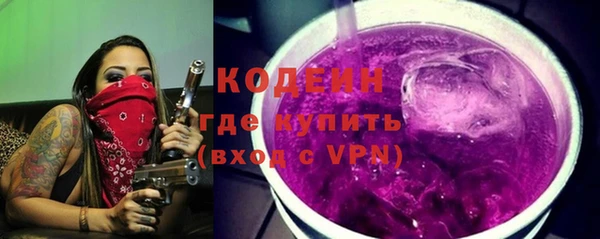 молекула духа Бородино