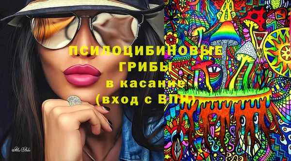 молекула духа Бородино