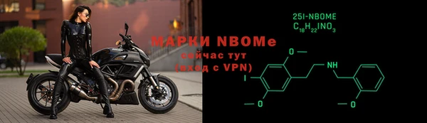 молекула духа Бородино